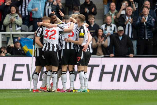 表現不俗 表現不俗